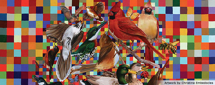 Artwork by Christina Empedocles